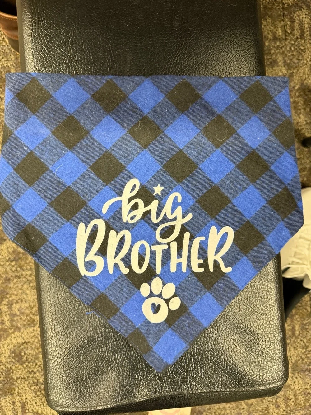 Amazon Blue and Black Plaid 